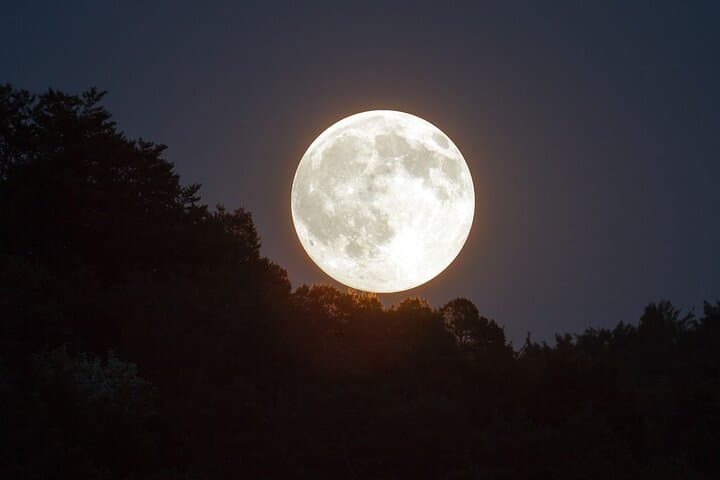 Full-Moon Cacao Ceremony on Holbox Beach: A Moonlit Mayan Healing Experience photo 2