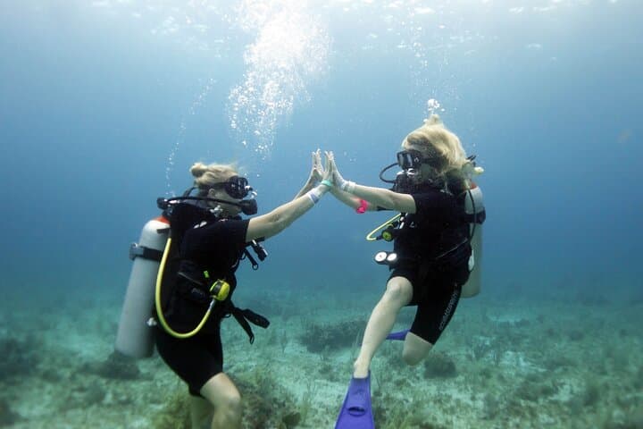 PADI Open Water Diver Course in Isla Mujeres — Certify at MUSA and Dive World-Class Reefs