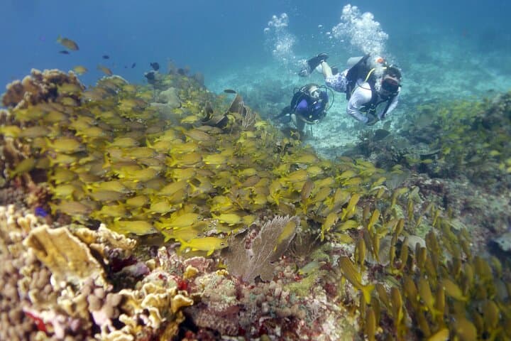 Discover Scuba at MUSA & Manchones Reef — Isla Mujeres PADI Intro Dive photo 6