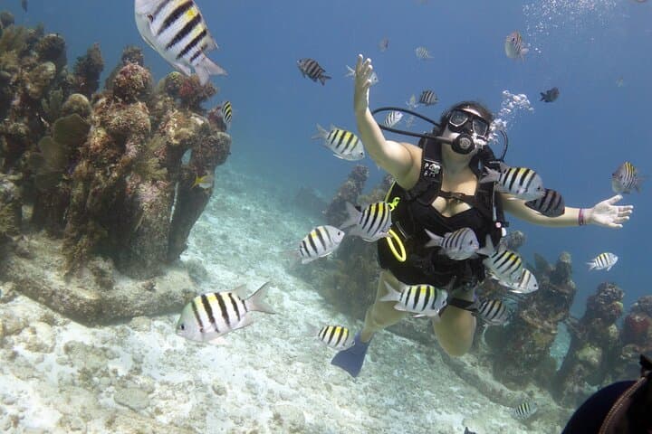 Discover Scuba at MUSA & Manchones Reef — Isla Mujeres PADI Intro Dive