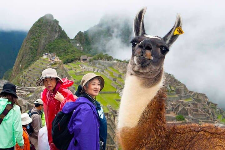 8-Day Peru Adventure: Lima, Cusco & Sunrise at Machu Picchu photo 3