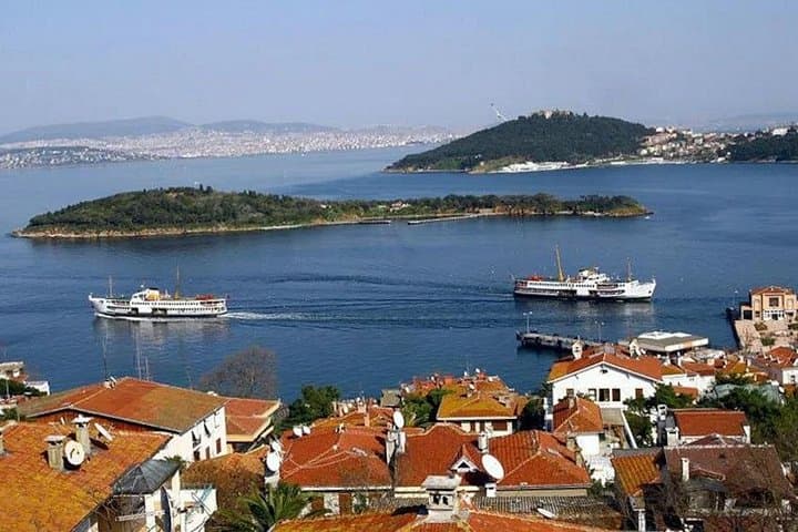A Day on the Princes' Islands: Cruise and Walk Büyükada from Istanbul photo 3