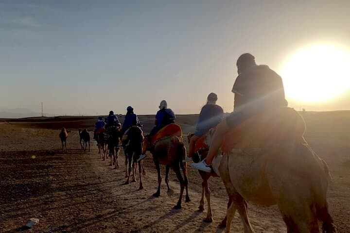 Sunset Camel Ride in Agafay Desert Near Marrakech photo 5
