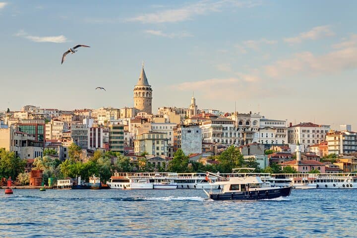 Istanbul in a Day: Land and Bosphorus Cruise Highlights photo 4