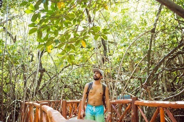 Tulum Cenotes & Casa Tortuga Day Trip from Cancun — Swim the Caverns and Visit Tulum Ruins photo 6