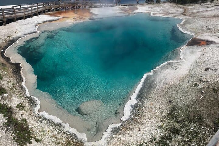 Private Full-Day Yellowstone Tour from Jackson — Old Faithful, Geothermal Basins & Wildlife