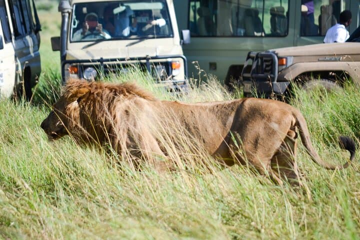 4-Day Tarangire, Serengeti & Ngorongoro Crater Safari from Arusha photo 1