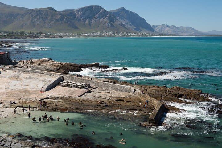 Hermanus Whale Watching and Bettys Bay Penguin Encounter — Full-Day from Cape Town photo 2