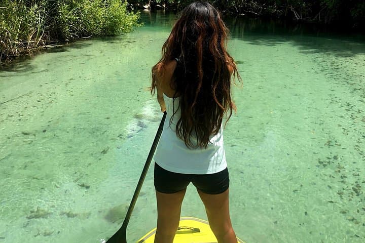 Miami Mangrove Paddle: Stand-Up Tour Through Canals & Raccoon Island photo 1
