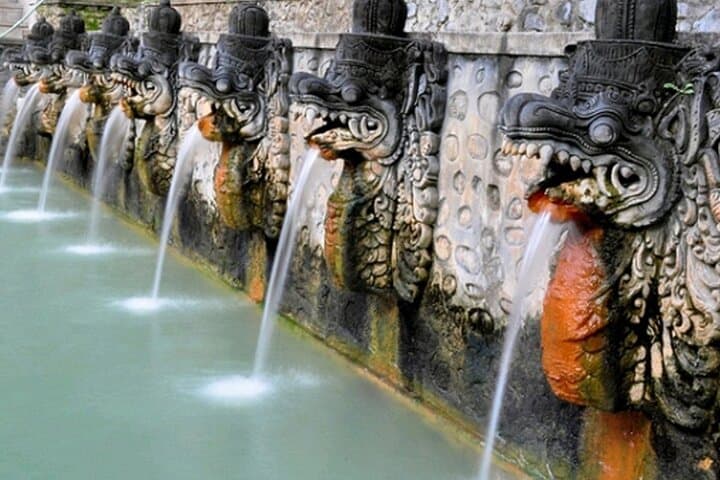 North Bali Full-Day: Lake Bratan, Lovina Black Sand & Banjar Hot Springs photo 3