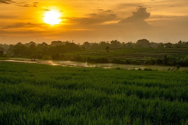 North Bali Full-Day: Lake Bratan, Lovina Black Sand & Banjar Hot Springs photo 4