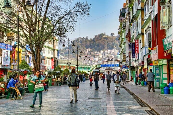 7-Day Private Gangtok–Pelling–Darjeeling Tour: Himalayan Views, Monasteries & Tea Gardens photo 3