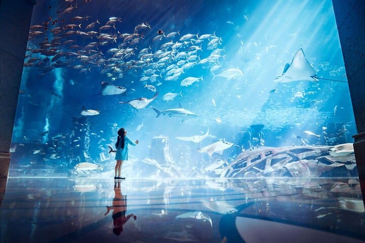 Lost Chambers at Atlantis The Palm: Skip-the-Line Aquarium Ticket photo 4