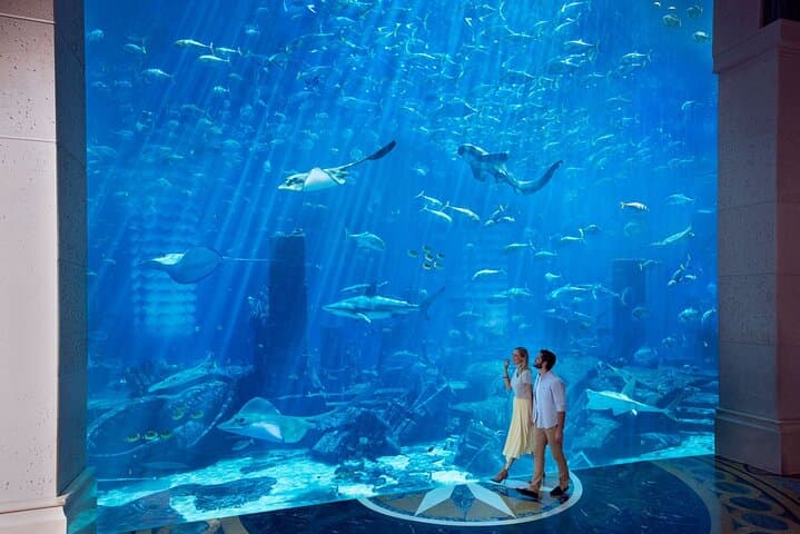 Lost Chambers at Atlantis The Palm: Skip-the-Line Aquarium Ticket photo 5