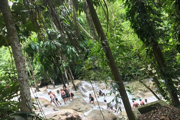 Negril to Dunn's River Falls Small-Group Tour — Climb Jamaica’s Famous Waterfall photo 2
