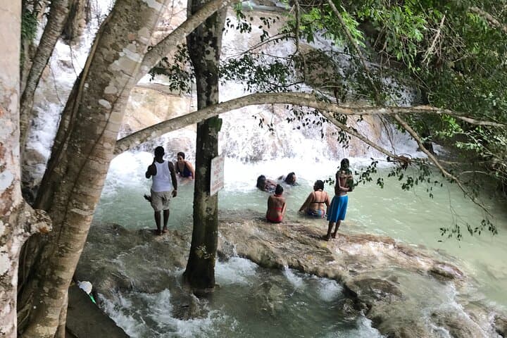 Negril to Dunn's River Falls Small-Group Tour — Climb Jamaica’s Famous Waterfall photo 3
