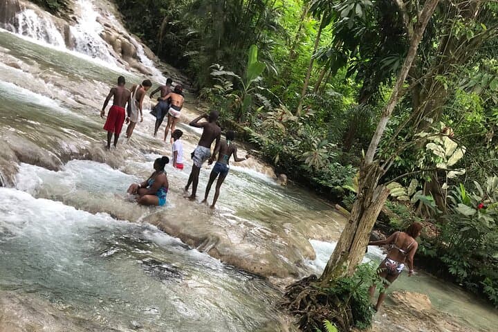 Montego Bay to Dunn's River Falls: Small-Group Waterfall Hike & Swim photo 4