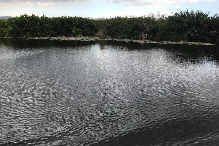 Black River Safari and Appleton Estate Rum Tour — Jamaica Full-Day Nature & Rum Excursion photo 3