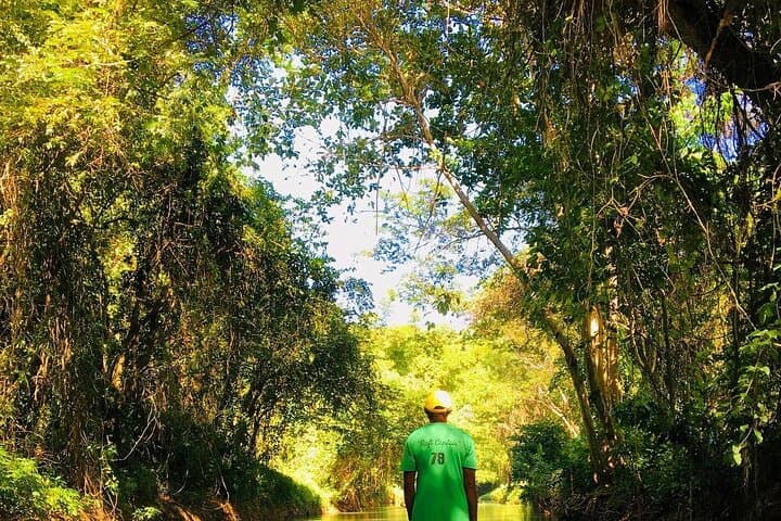 Martha Brae River Bamboo Rafting: Private Guided Tour from Montego Bay photo 6