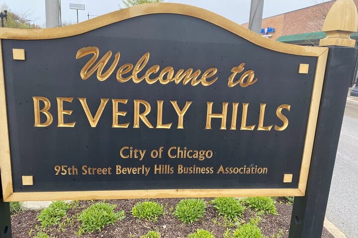 Small-Group Chicago Neighborhood Tour: North & South Side Highlights