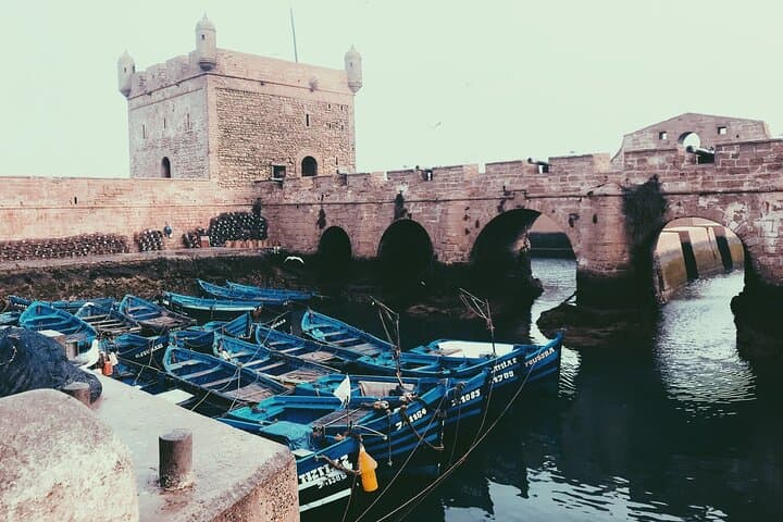 Marrakech to Essaouira Day Trip: Argan Cooperatives, Ramparts & Atlantic Beach