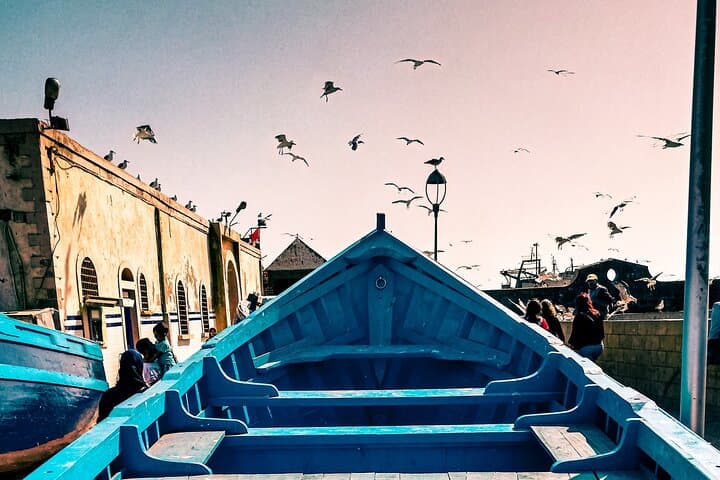 Marrakech to Essaouira Day Trip: Argan Cooperatives, Ramparts & Atlantic Beach photo 3