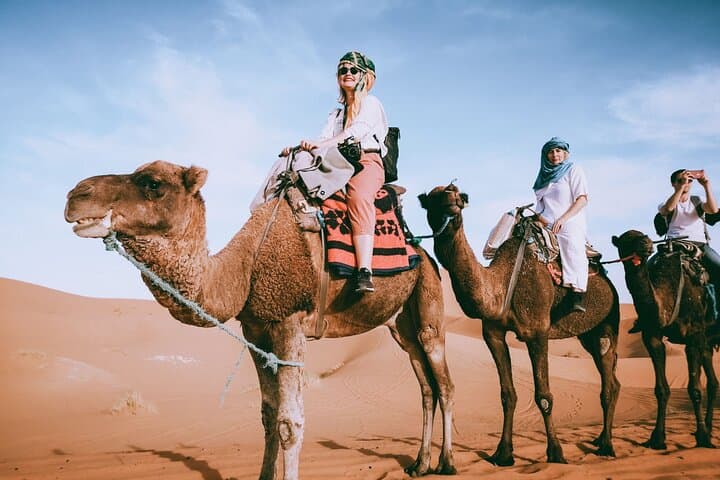 Camel & Horse Ride on Luxor's West Bank: 2-Hour Farm and Village Experience photo 2