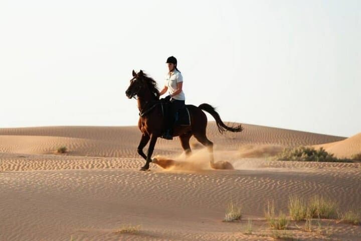 Camel & Horse Ride on Luxor's West Bank: 2-Hour Farm and Village Experience photo 4