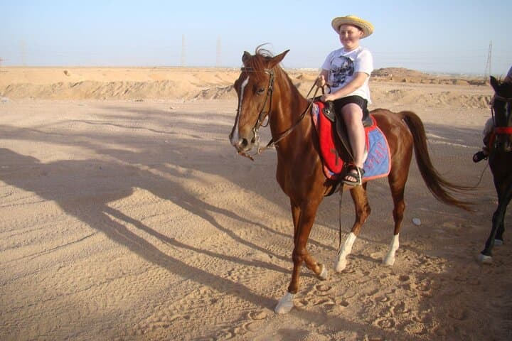Camel & Horse Ride on Luxor's West Bank: 2-Hour Farm and Village Experience photo 5