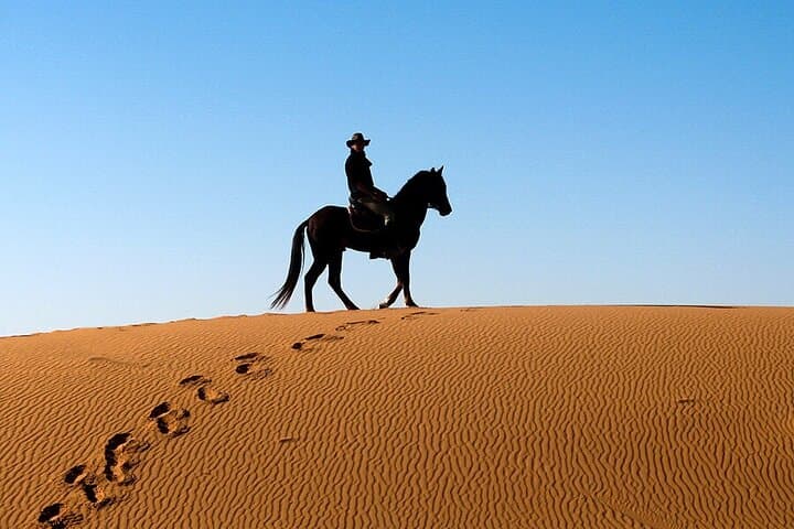 Camel & Horse Ride on Luxor's West Bank: 2-Hour Farm and Village Experience photo 6