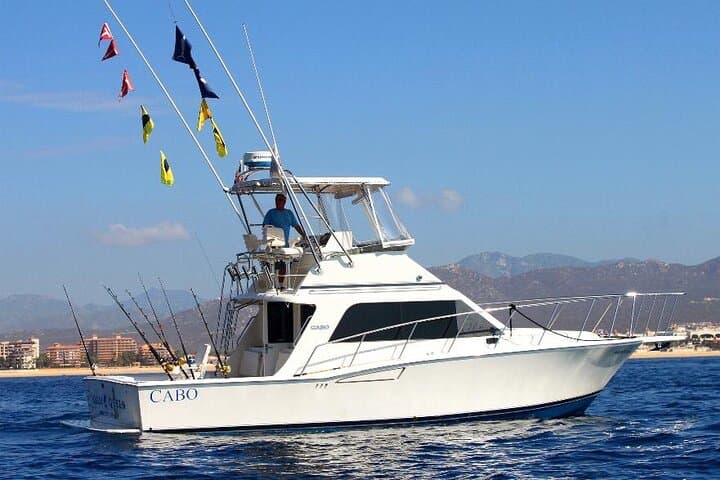 Private Pleasure Cruise in Cabo San Lucas — El Arco, Pelican Rock & Snorkel photo 3