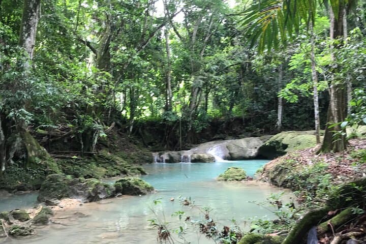 Blue Hole Day Trip from Lucea — Swim Ocho Rios' Wild Waterfalls photo 4