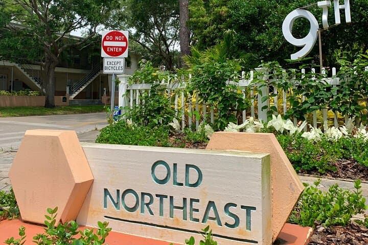 St. Pete Downtown Biking Tour: Explore DTSP Neighborhoods, Murals & Waterfront photo 3