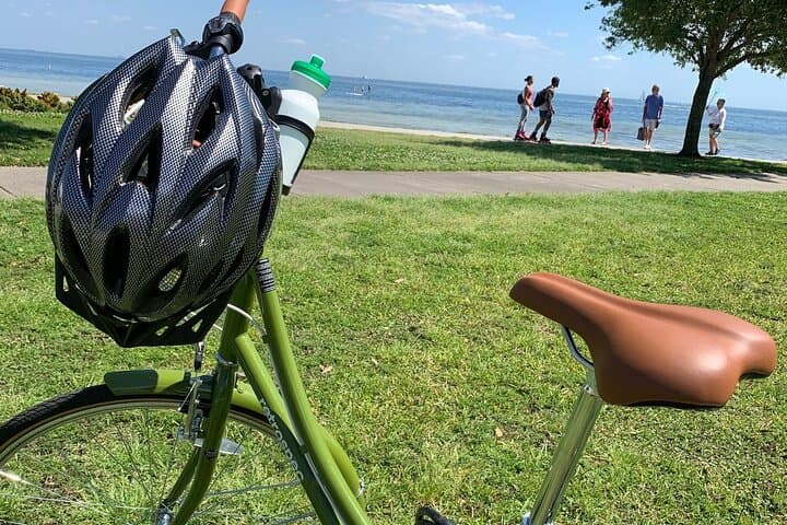 St. Pete Downtown Biking Tour: Explore DTSP Neighborhoods, Murals & Waterfront photo 4
