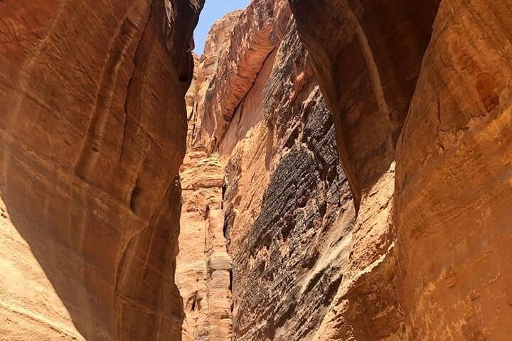 Full-Day Petra Tour: Explore Al-Khazneh, the Siq & Nabataean Ruins photo 3