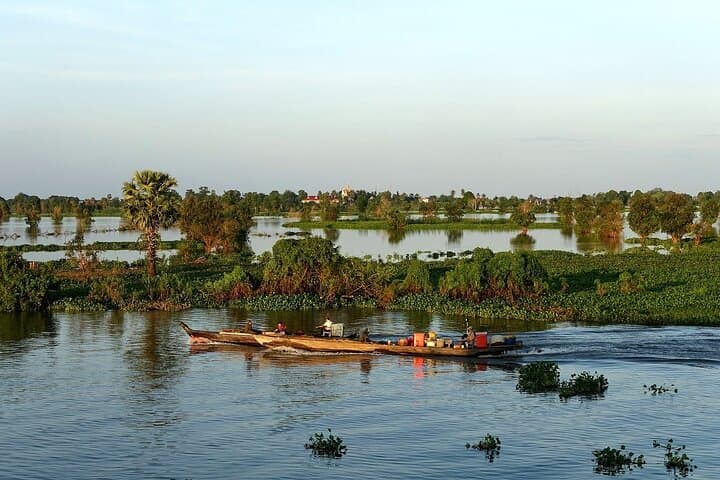 Bird Watching at Tonle Sap’s Inundated Forest: Full-Day Prek Toal Sanctuary Tour photo 2