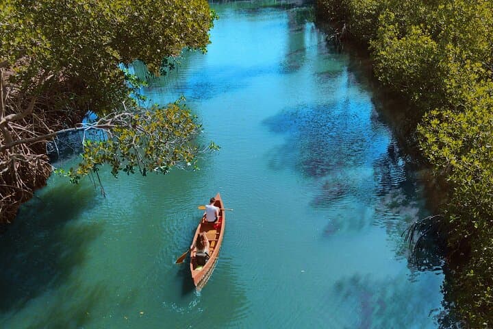 Canoes to Caves: Exploring Los Haitises’ Taíno Mangroves and Petroglyphs photo 4
