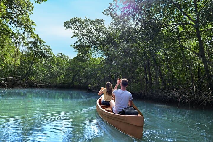 Canoes to Caves: Exploring Los Haitises’ Taíno Mangroves and Petroglyphs photo 5