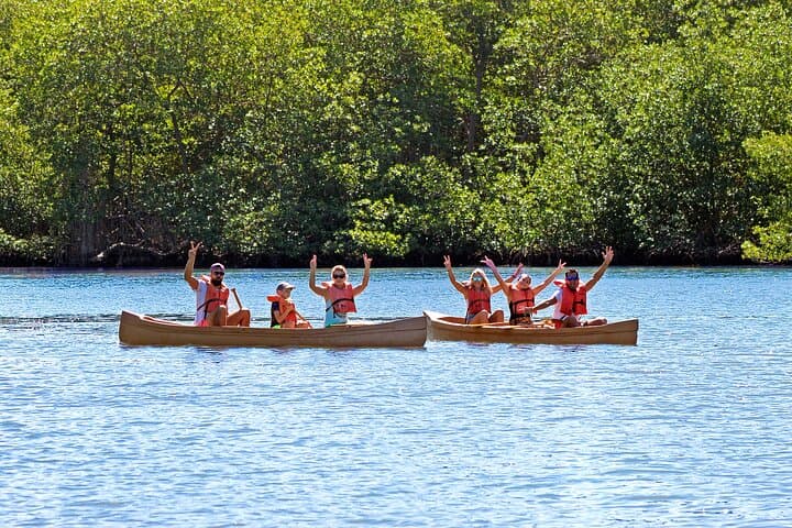 Canoes to Caves: Exploring Los Haitises’ Taíno Mangroves and Petroglyphs photo 6