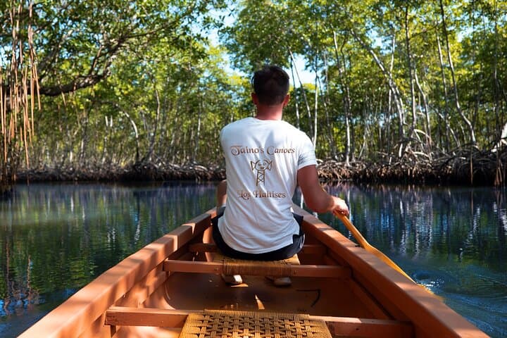 Canoes to Caves: Exploring Los Haitises’ Taíno Mangroves and Petroglyphs