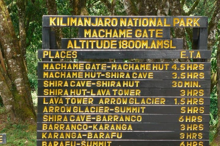 Kilimanjaro Machame 7-Day Climb: Summit Uhuru Peak via the Whisky Route photo 5