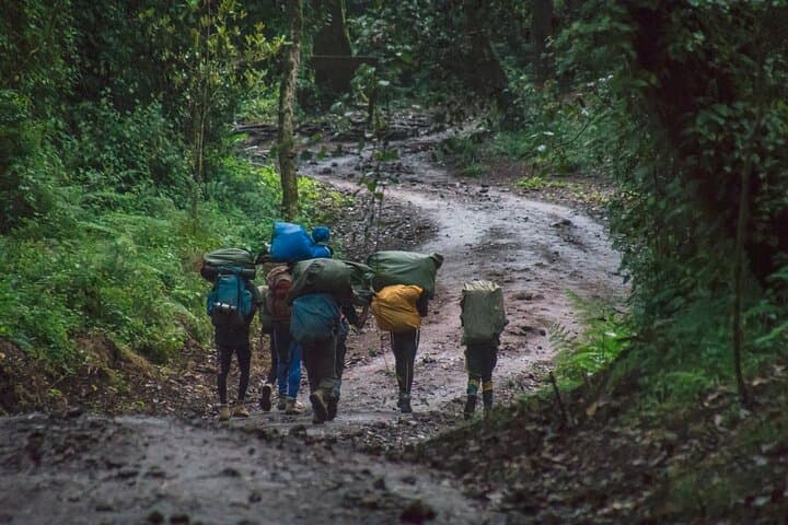 Kilimanjaro Machame 7-Day Climb: Summit Uhuru Peak via the Whisky Route photo 6