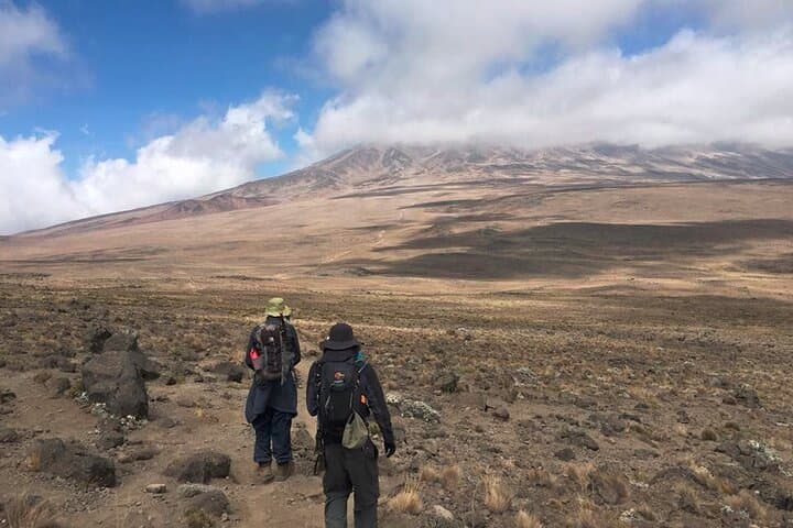 7-Day Rongai Route Kilimanjaro Climb — Northern Approach to Uhuru Peak photo 6