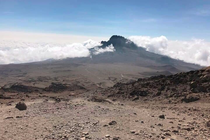7-Day Rongai Route Kilimanjaro Climb — Northern Approach to Uhuru Peak photo 5