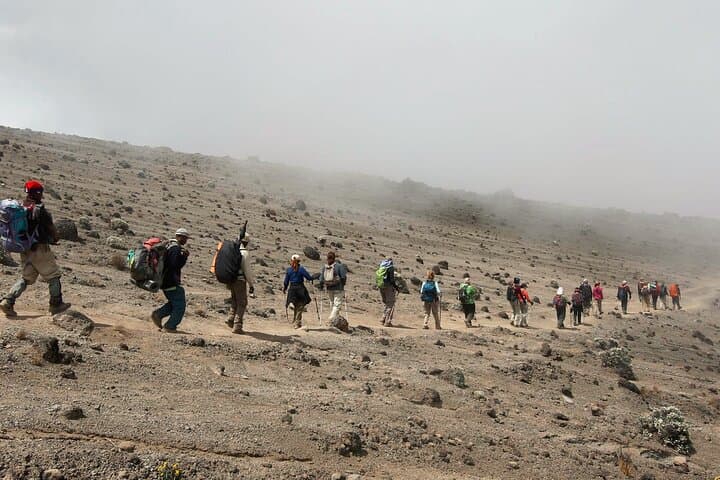 8-Day Lemosho Route Kilimanjaro Climb to Uhuru Peak photo 4