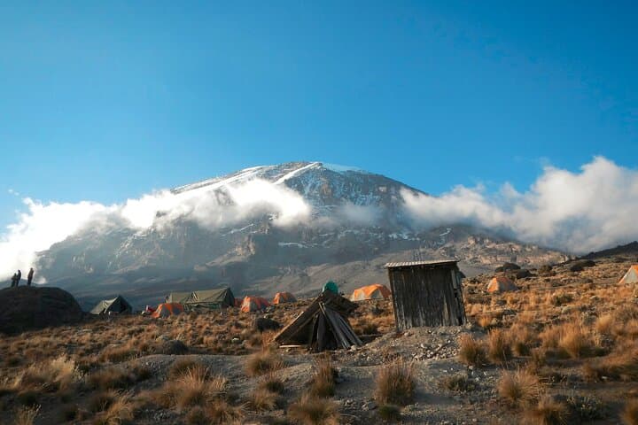 8-Day Lemosho Route Kilimanjaro Climb to Uhuru Peak photo 5