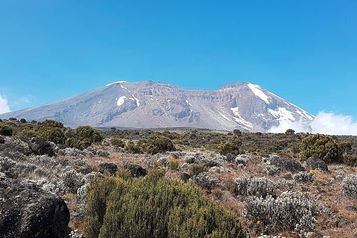Kilimanjaro Northern Circuit 9-Day Climb: Best Route for Acclimatization and Higher Summit Success photo 2