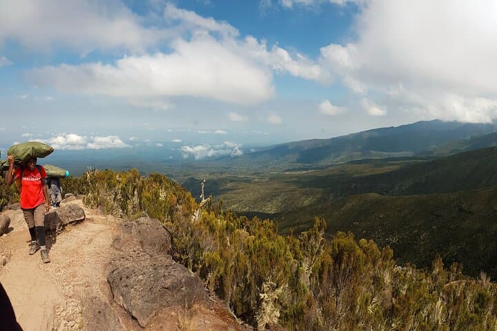 Kilimanjaro Northern Circuit 9-Day Climb: Best Route for Acclimatization and Higher Summit Success photo 3