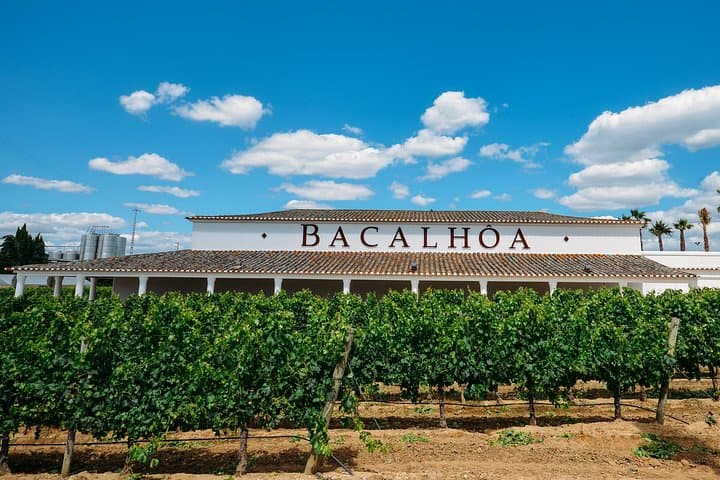 Private Wine Tasting Tour at Quinta Bacalhôa & José Maria da Fonseca — Setúbal Day Trip photo 3