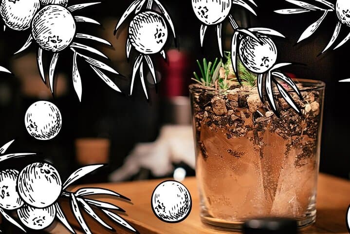 London Gin Craze: Gin Palaces, Backstreets & Distillery Tasting photo 6